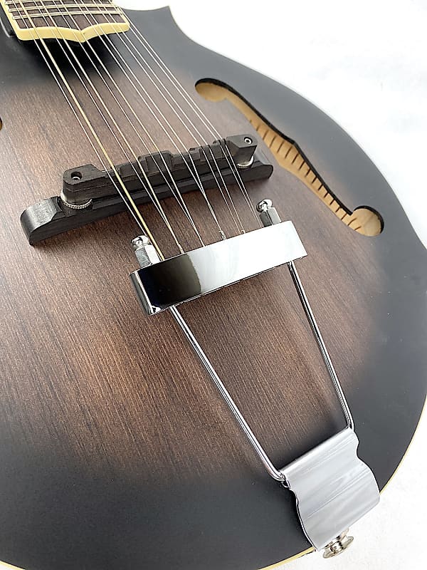 Gold Tone F12 F-Style 12-String Mando-Guitar