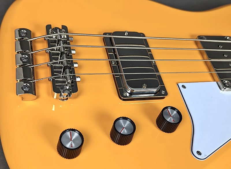 Epiphone Newport Bass 2023 - California Coral
