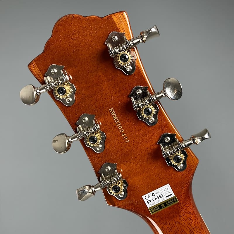 Guild Bluesbird 2022 Iced Tea Burst