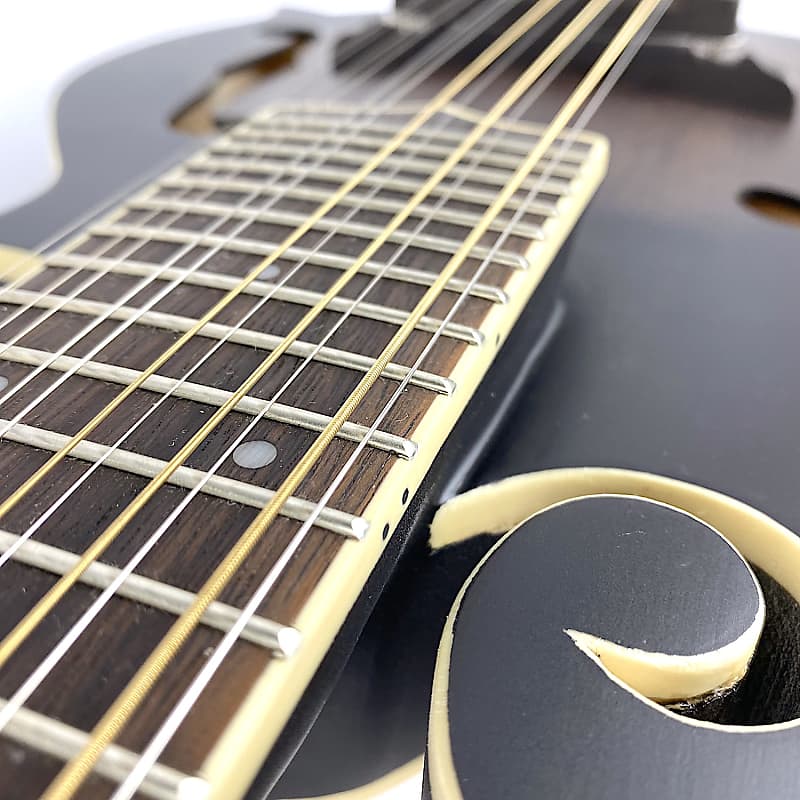 Gold Tone F12 F-Style 12-String Mando-Guitar