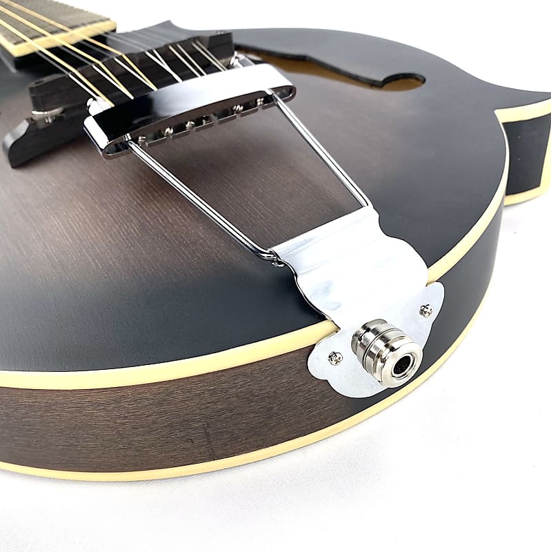 Gold Tone F12 F-Style 12-String Mando-Guitar