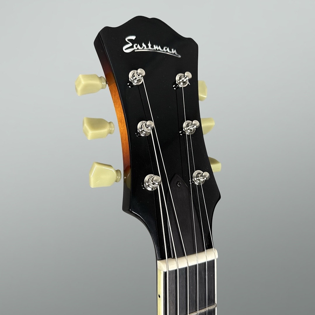 Eastman T386 2024 - Sunburst