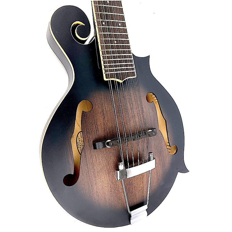 Gold Tone F12 F-Style 12-String Mando-Guitar
