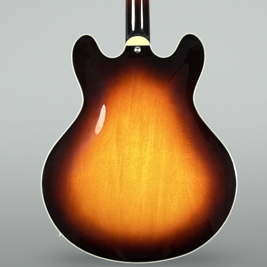 Eastman T386 2024 - Sunburst