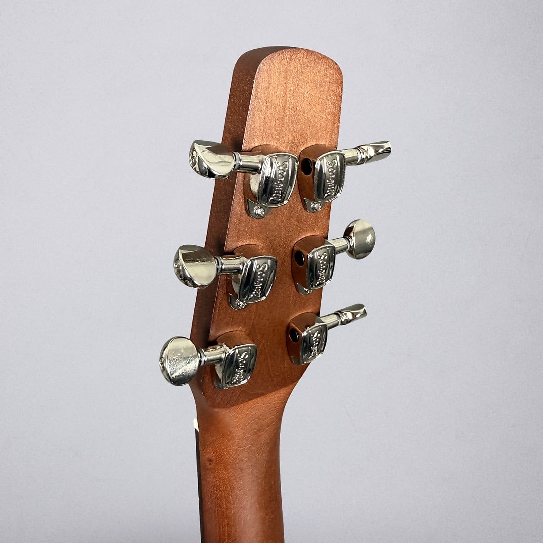 Seagull Entourage Folk 2025 - Rustic Burst