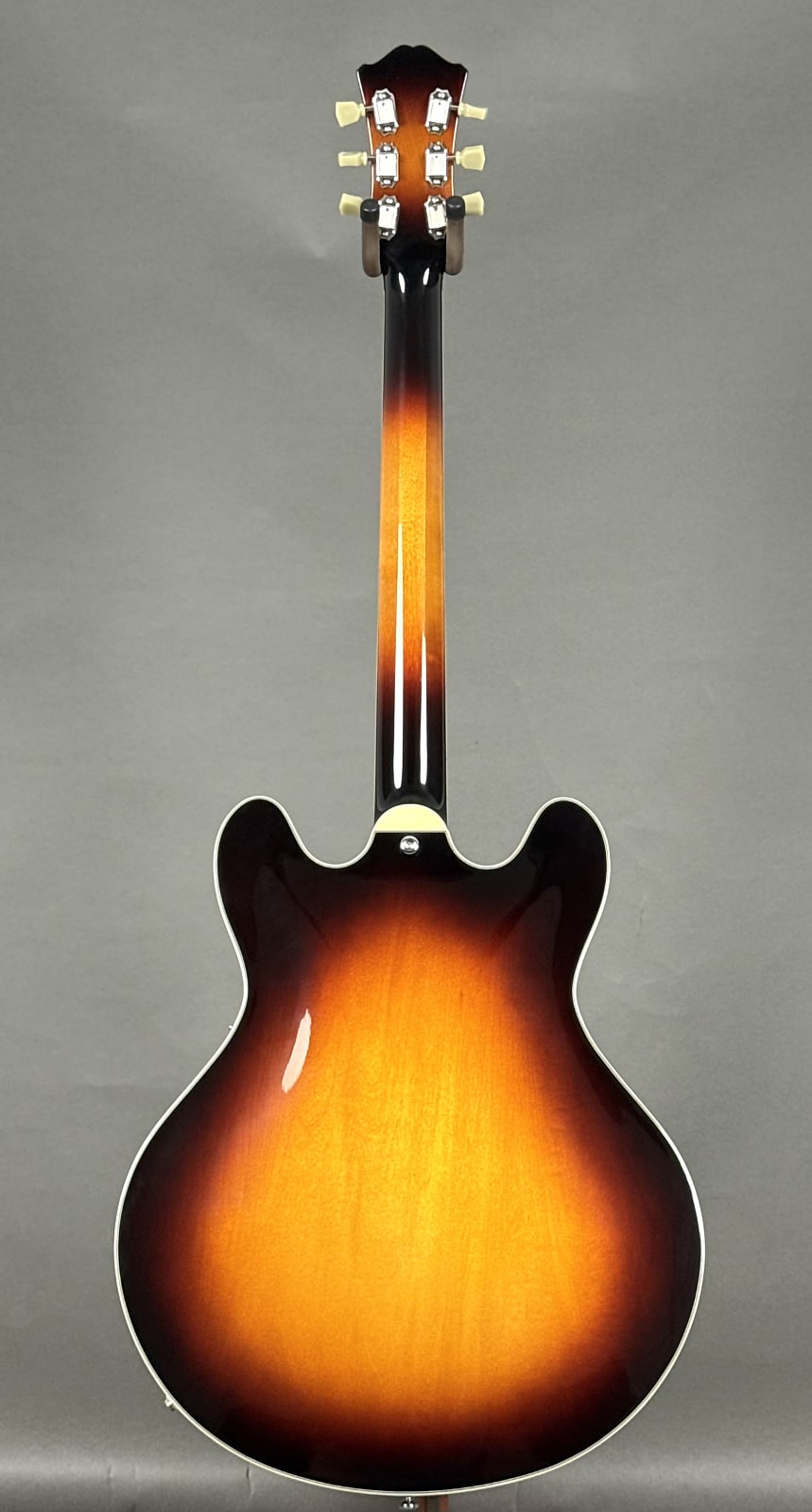 Eastman T386 2024 - Sunburst