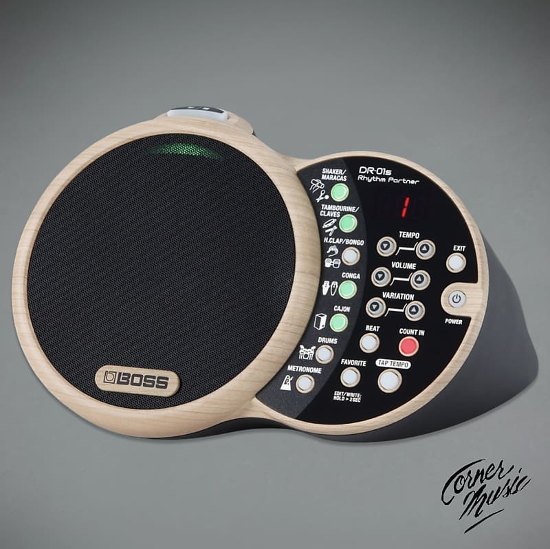 Boss DR-01s Rhythm Partner Drum Machine