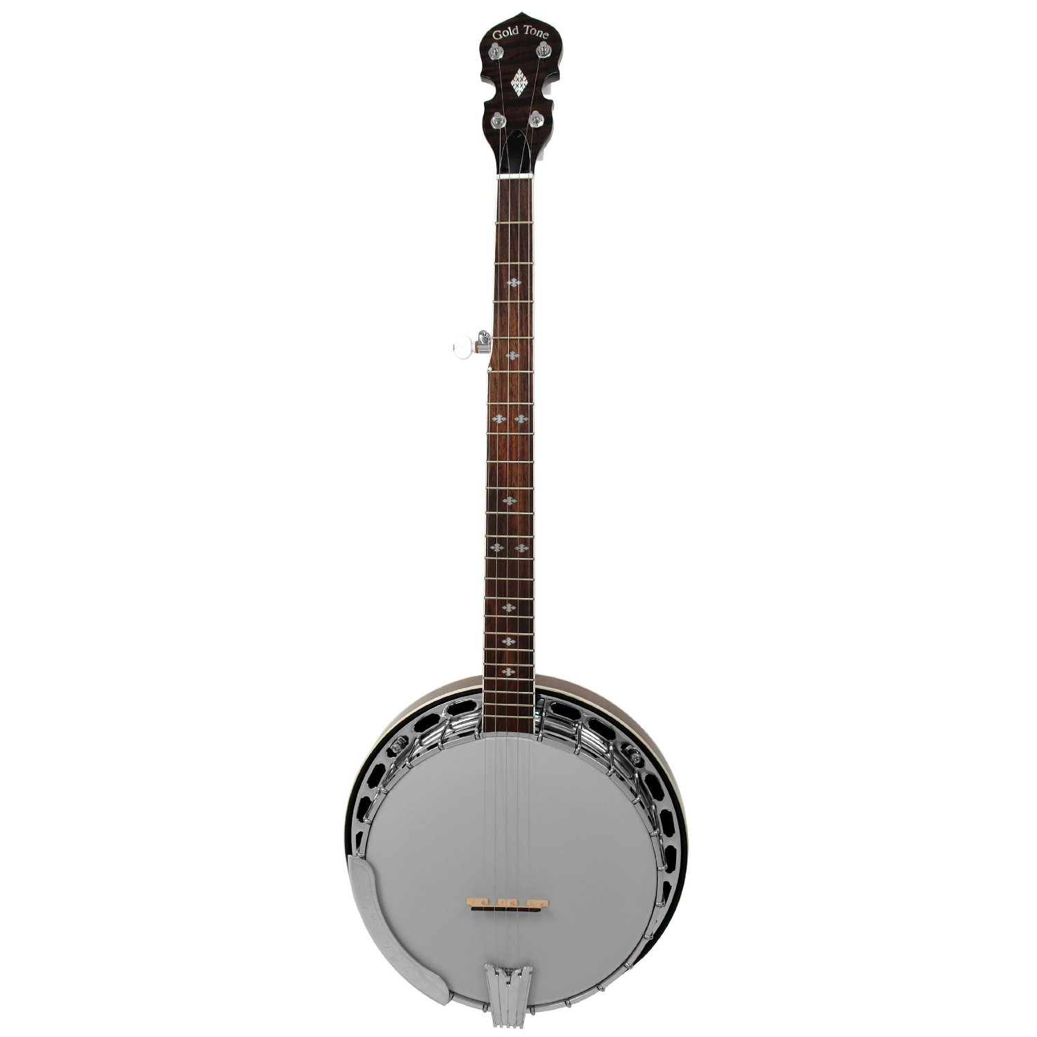 Gold Tone BG250FW 5String Banjo