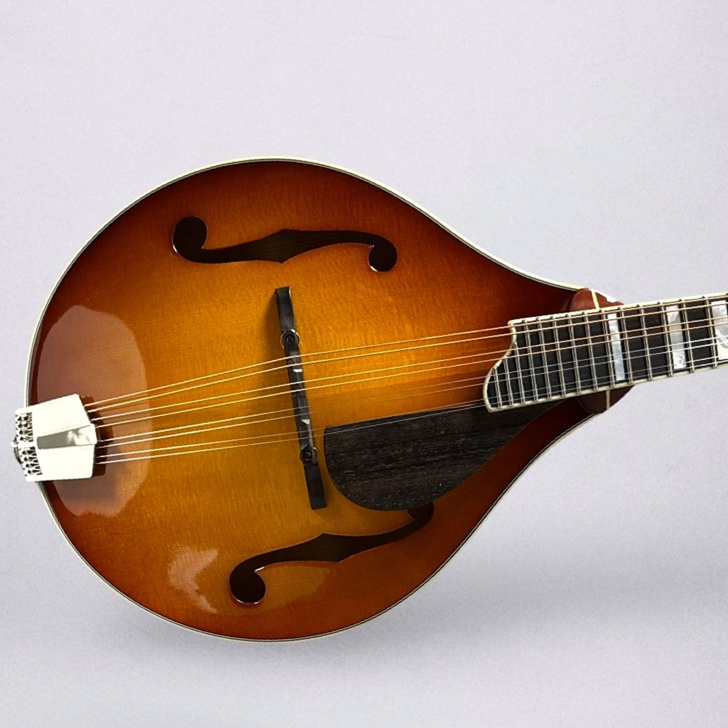 Eastman MD605 2025 - Goldburst