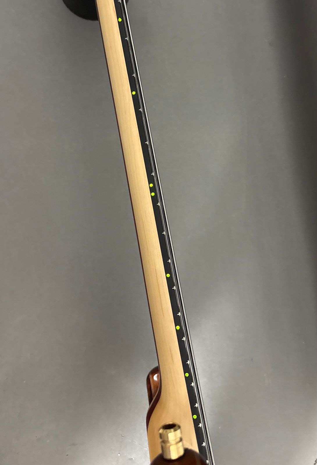 Alembic Custom Signature Deluxe Scorpion 2018 Walnut/Mahogany