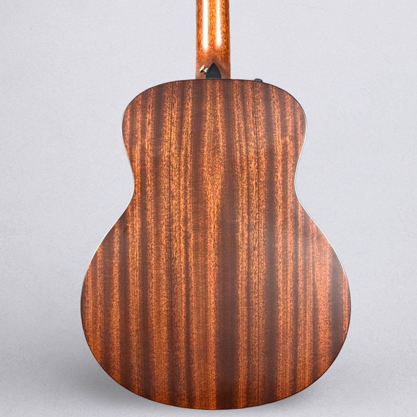 Taylor 356E 12-String - Natural with Hardshell Case