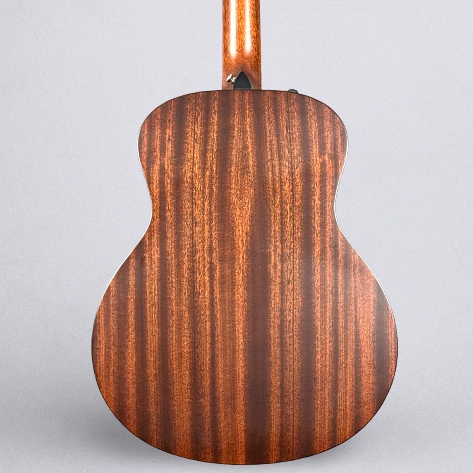 Taylor 356E 12-String - Natural with Hardshell Case