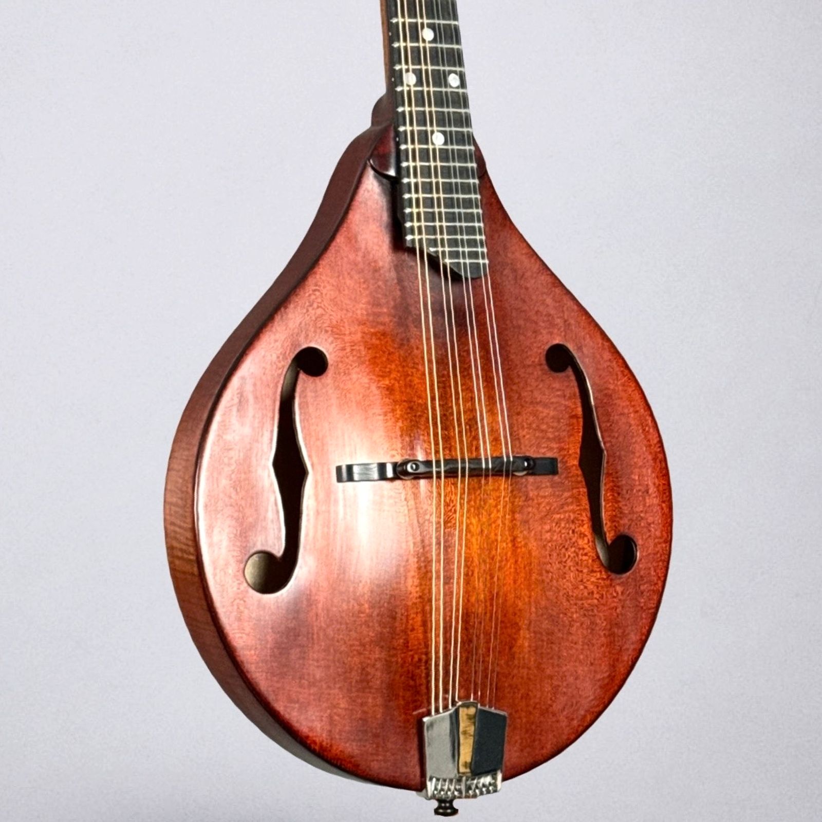 Eaatman MD505CC/TV 2025 - Classic