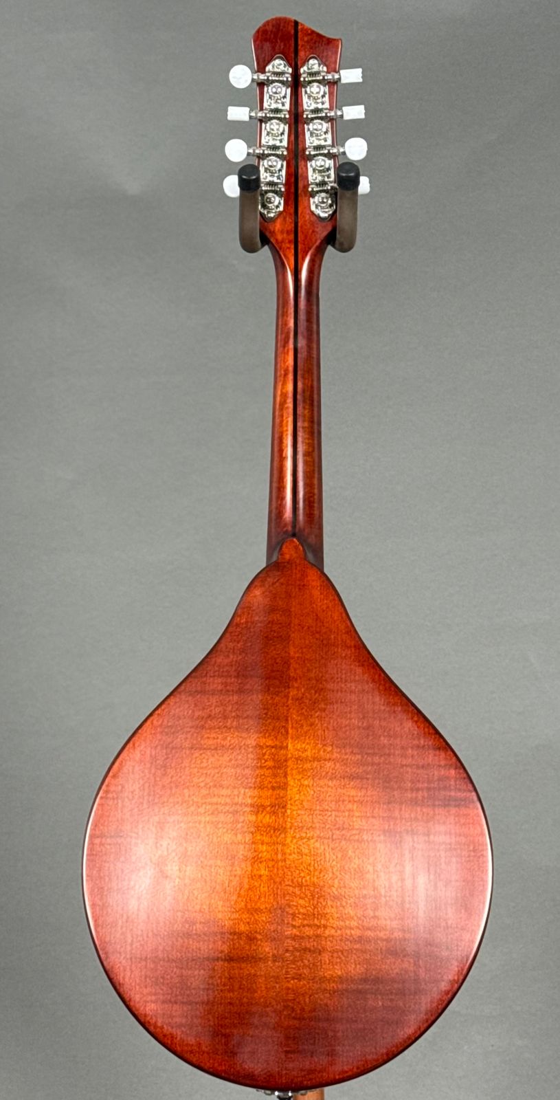 Eaatman MD505CC/TV 2025 - Classic