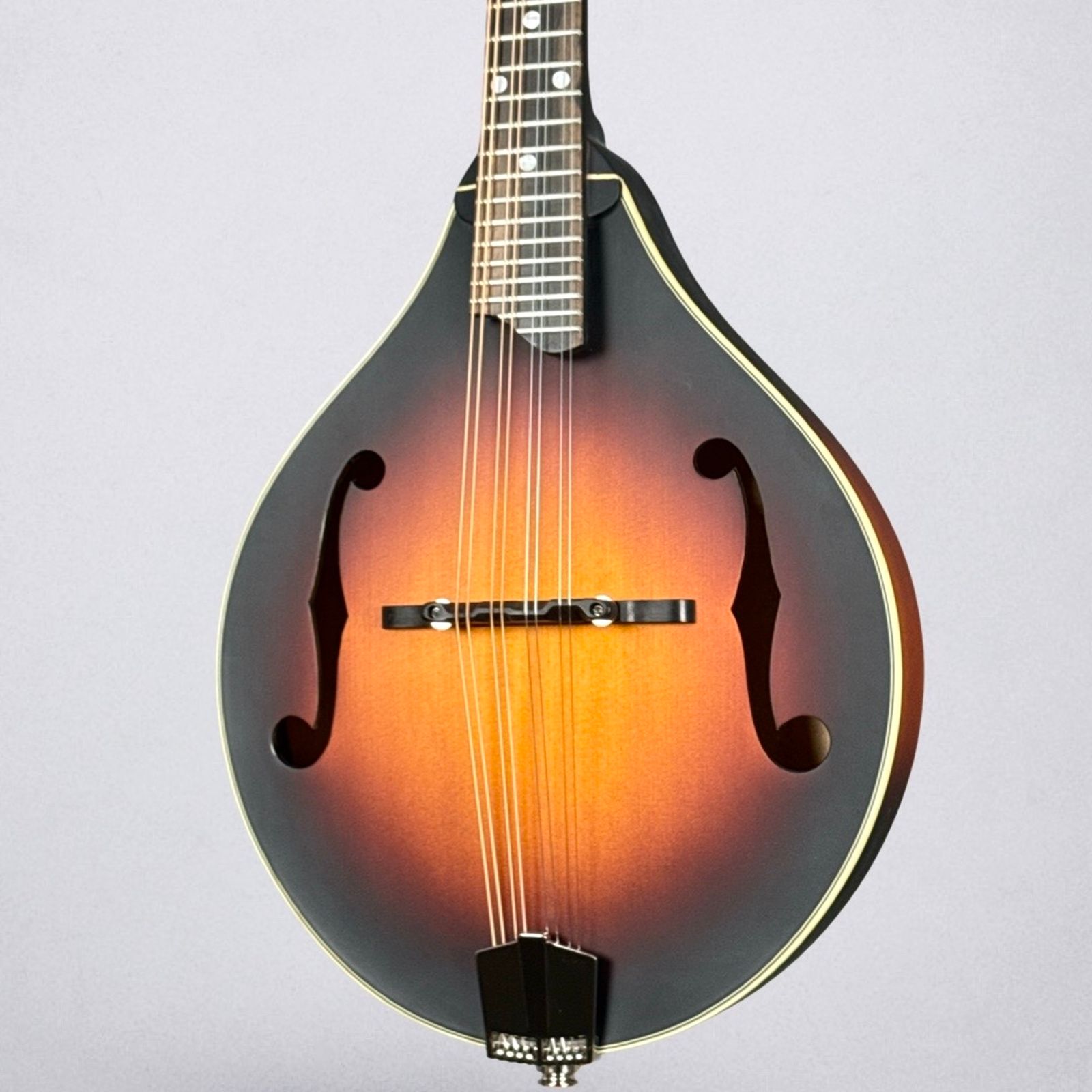 Eastman MD305E 2025 - Sunburst