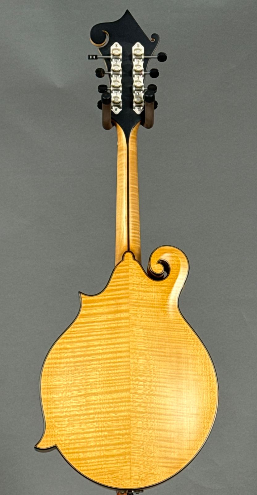 Eastman MD915 2024 - Natural