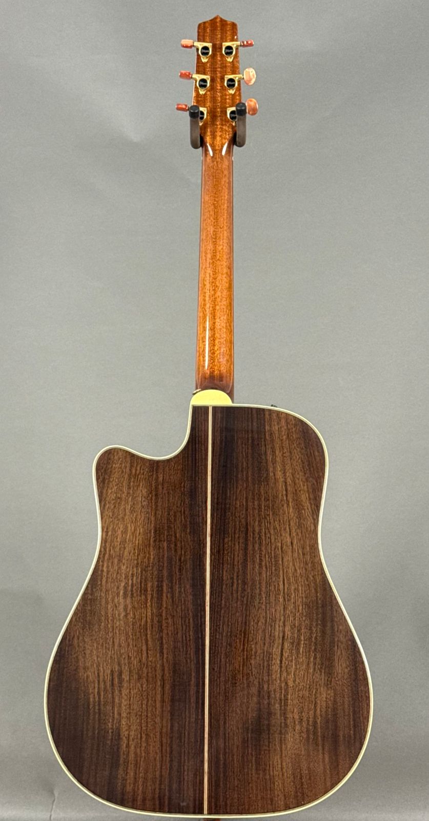 Takamine EAN-15C - Natural w/ Case