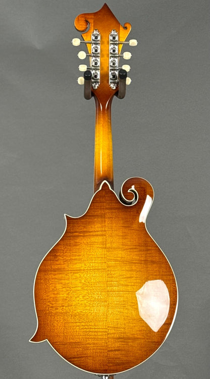 Eastman MD614 2024 - Goldburst