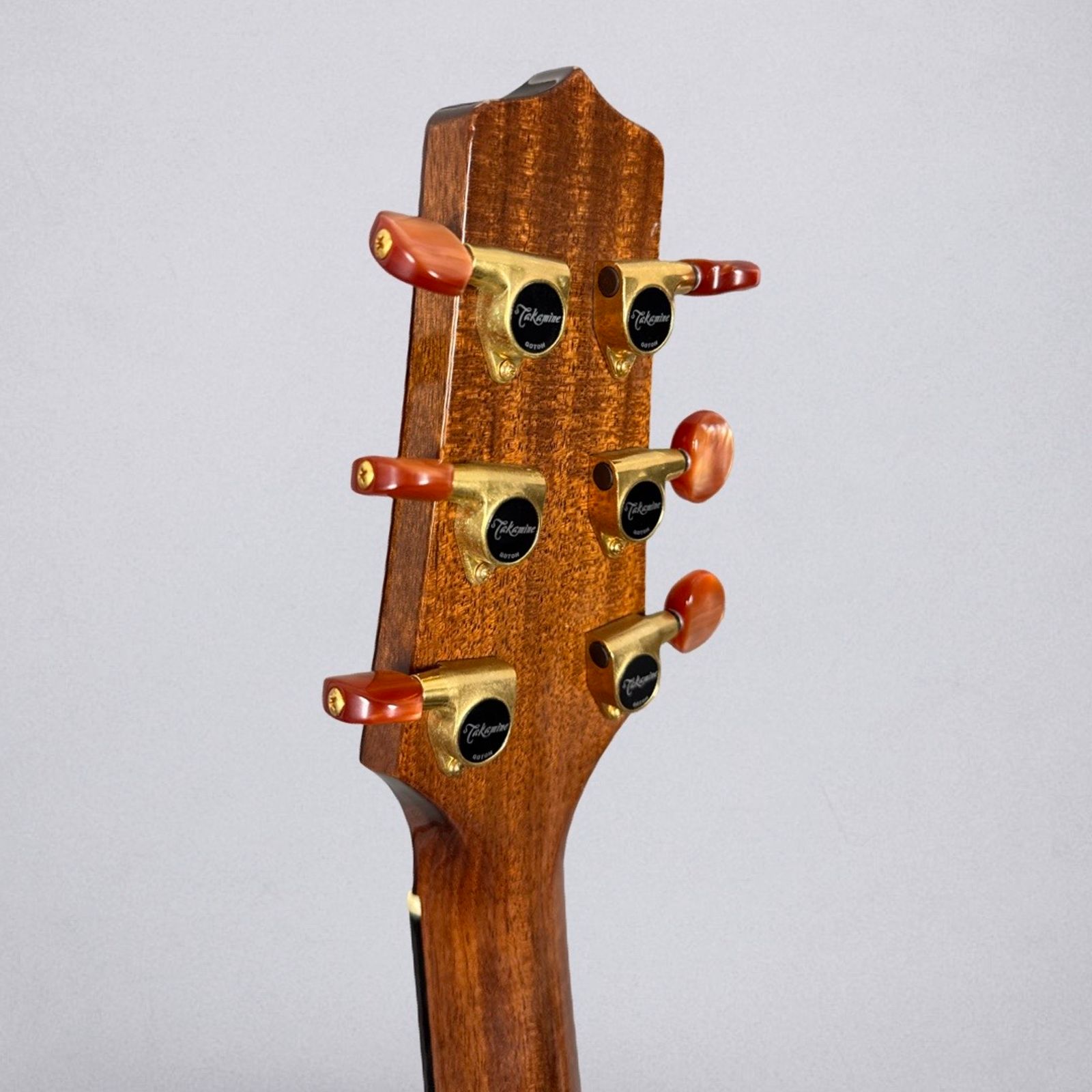 Takamine EAN-15C - Natural w/ Case