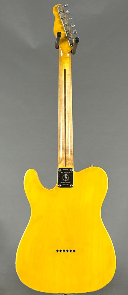 Morgan Standard Single Cut Pro Blackguard 2026 - Butterscotch Blonde