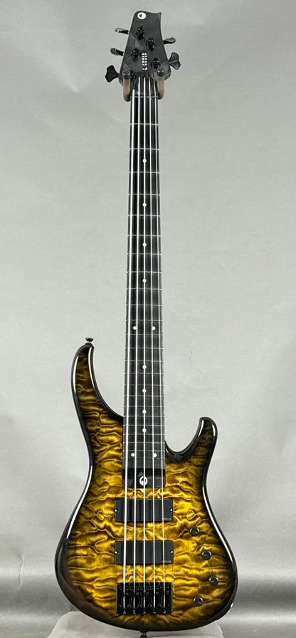 G. Gould GGi5 2026 - Beeswing Burst