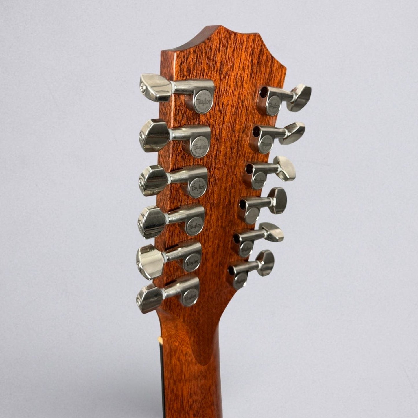 Taylor 356E 12-String - Natural with Hardshell Case