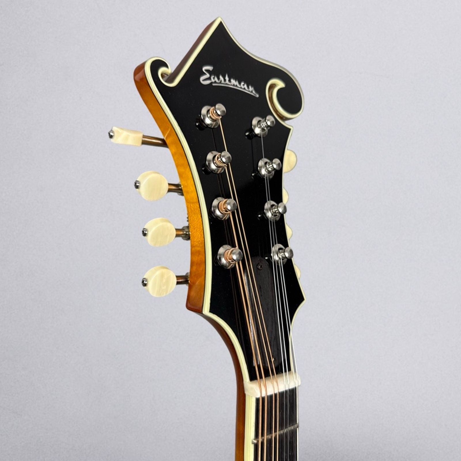 Eastman MD614 2024 - Goldburst