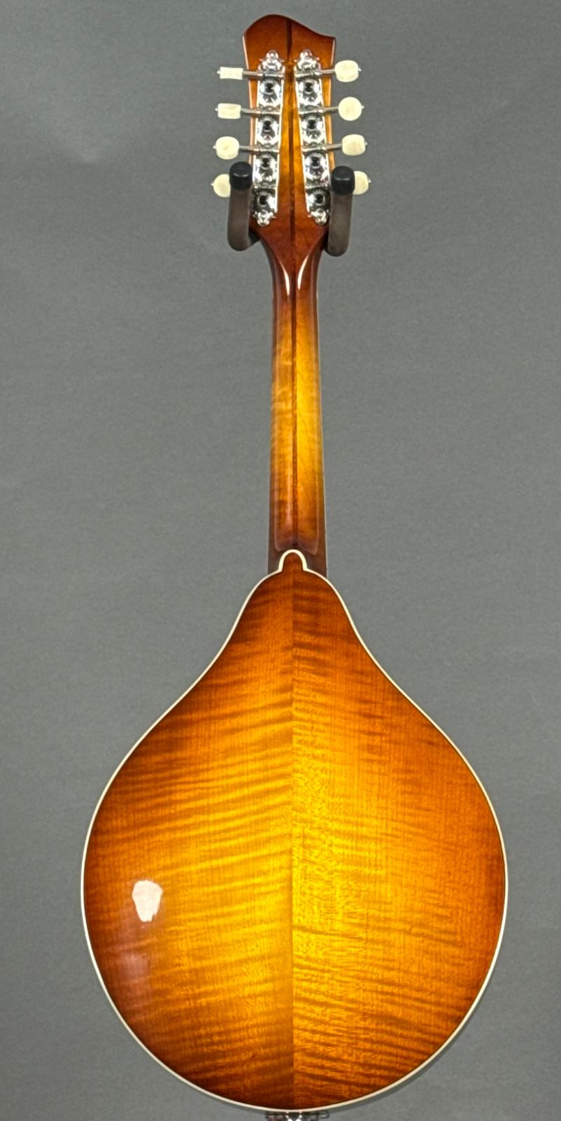 Eastman MD605 2025 - Goldburst