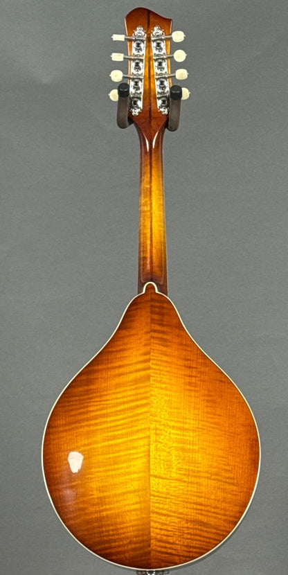 Eastman MD605 2025 - Goldburst