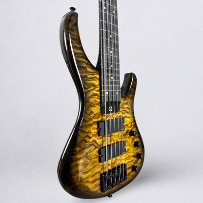 G. Gould GGi5 2026 - Beeswing Burst