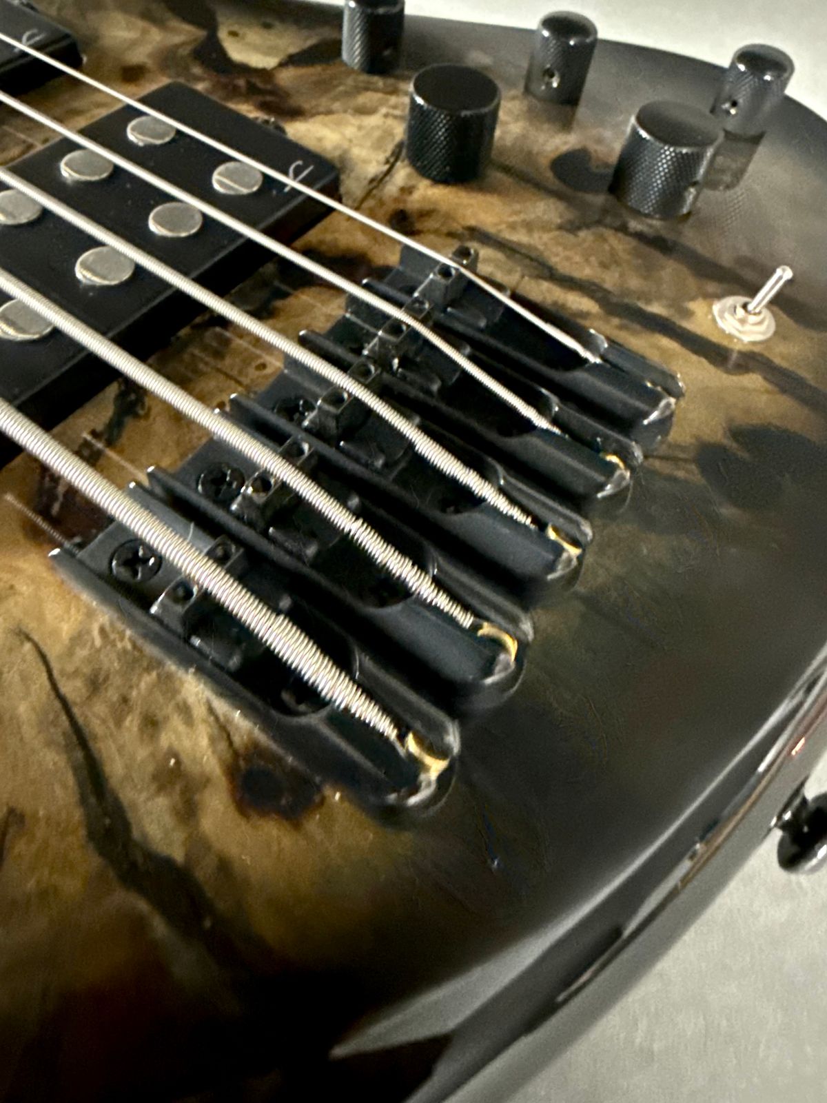 Legator HB5SS 2026 - Jupiter Burst Buckeye Burl Maple