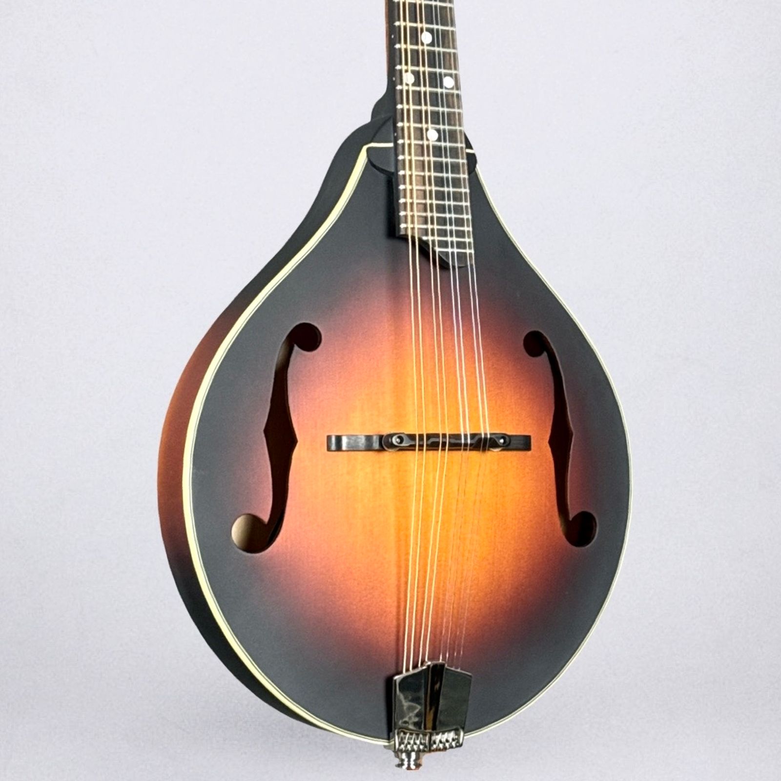 Eastman MD305E 2025 - Sunburst