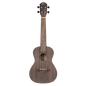 Earth Series Concert Ukulele - Lefty