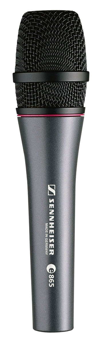 Handheld Supercardioid Condenser Vocal Mic