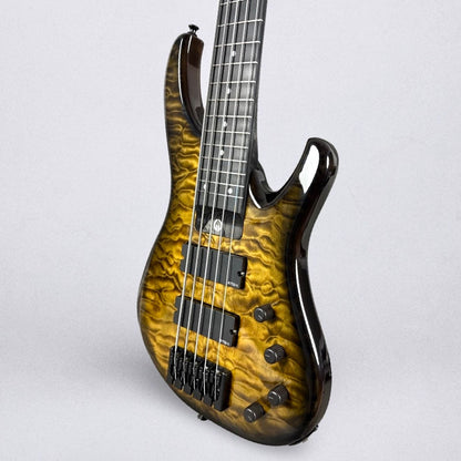 G. Gould GGi5 2026 - Beeswing Burst