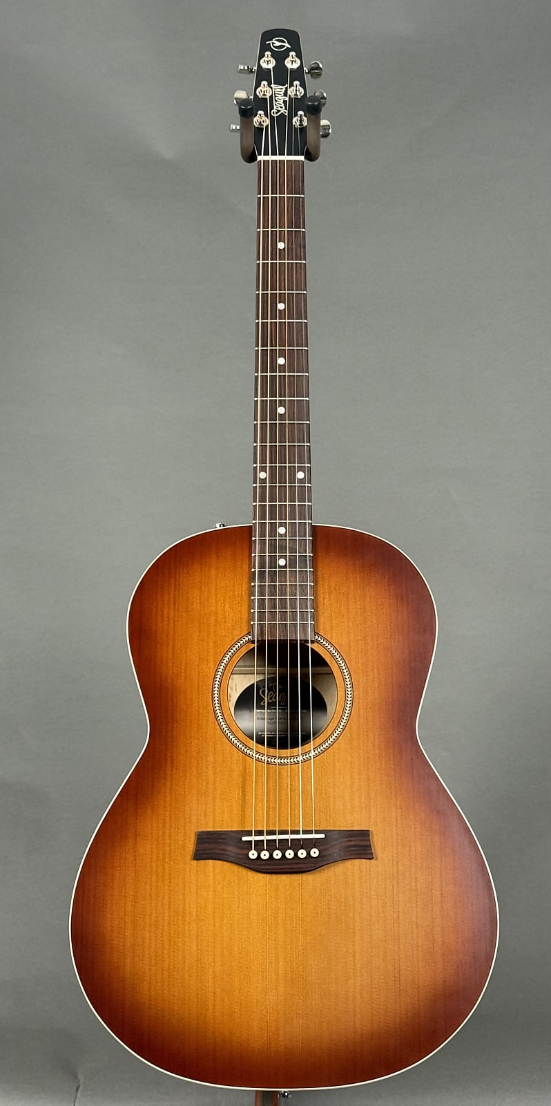 Seagull Entourage Folk 2025 - Rustic Burst