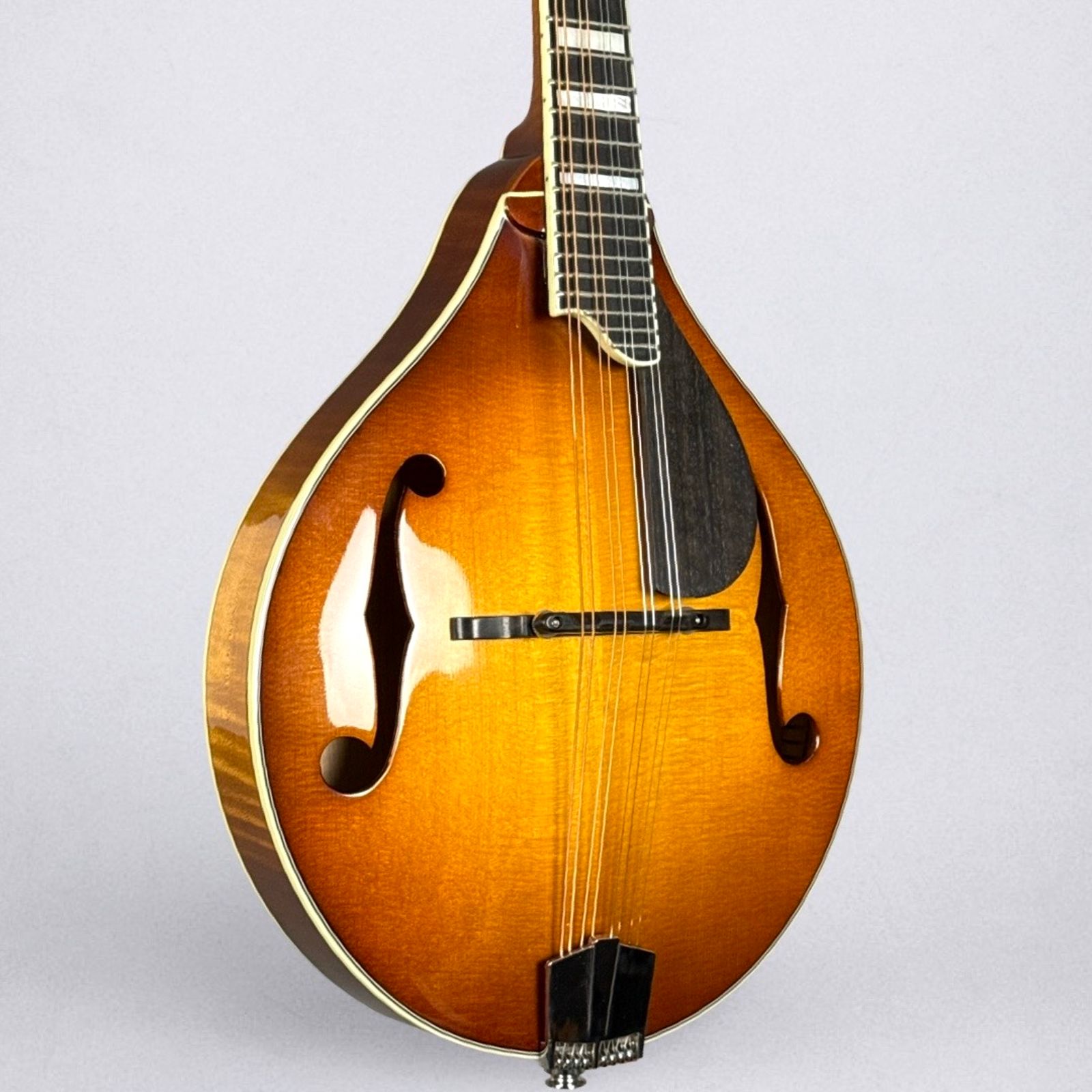 Eastman MD605 2025 - Goldburst