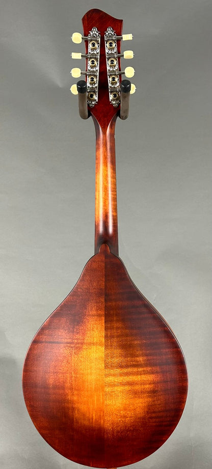 Eastman MD305 Adirondack 2026 - Amberburst