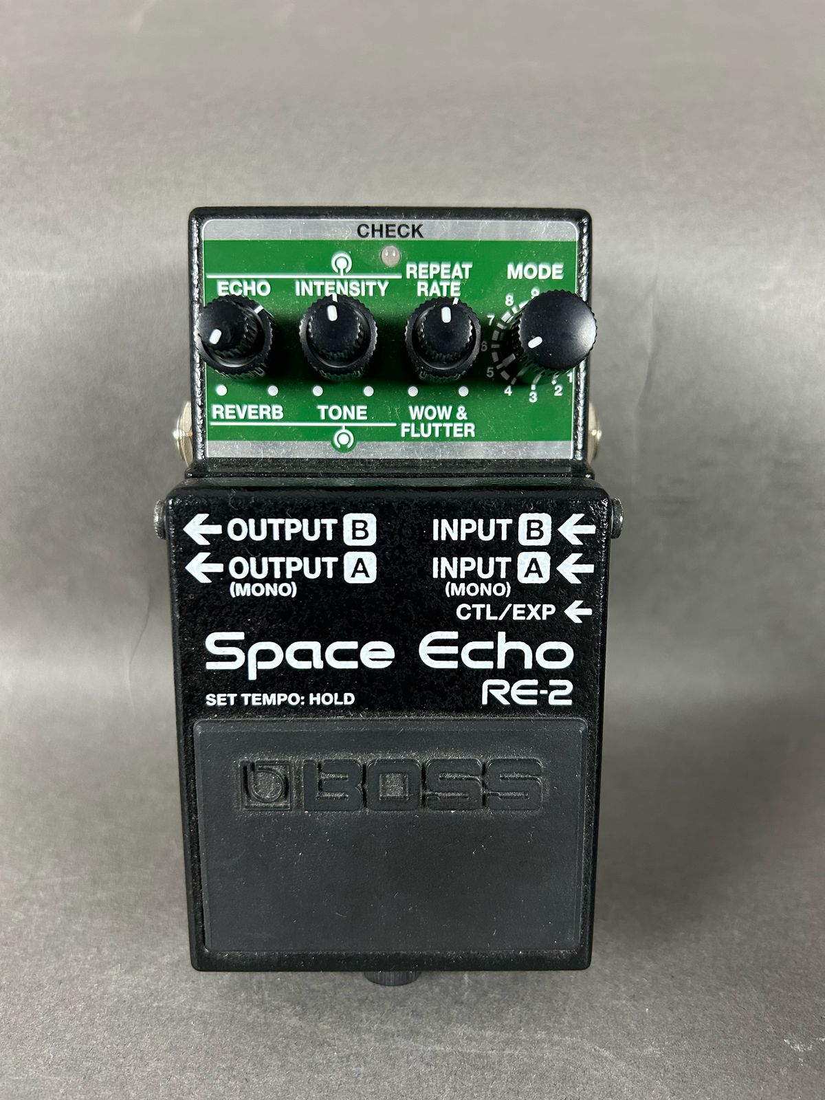 Boss RE-2 Space Echo Delay and Reverb Effects Pedal