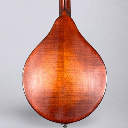 Eaatman MD505CC/TV 2025 - Classic