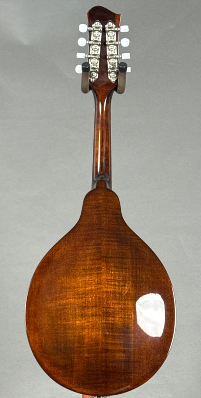 Eastman MD504 2024 - Classic