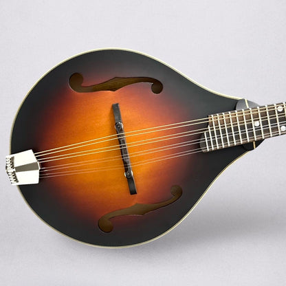 Eastman MD305E 2025 - Sunburst
