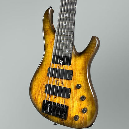 G. Gould GGi6 2023  Beeswing Burst