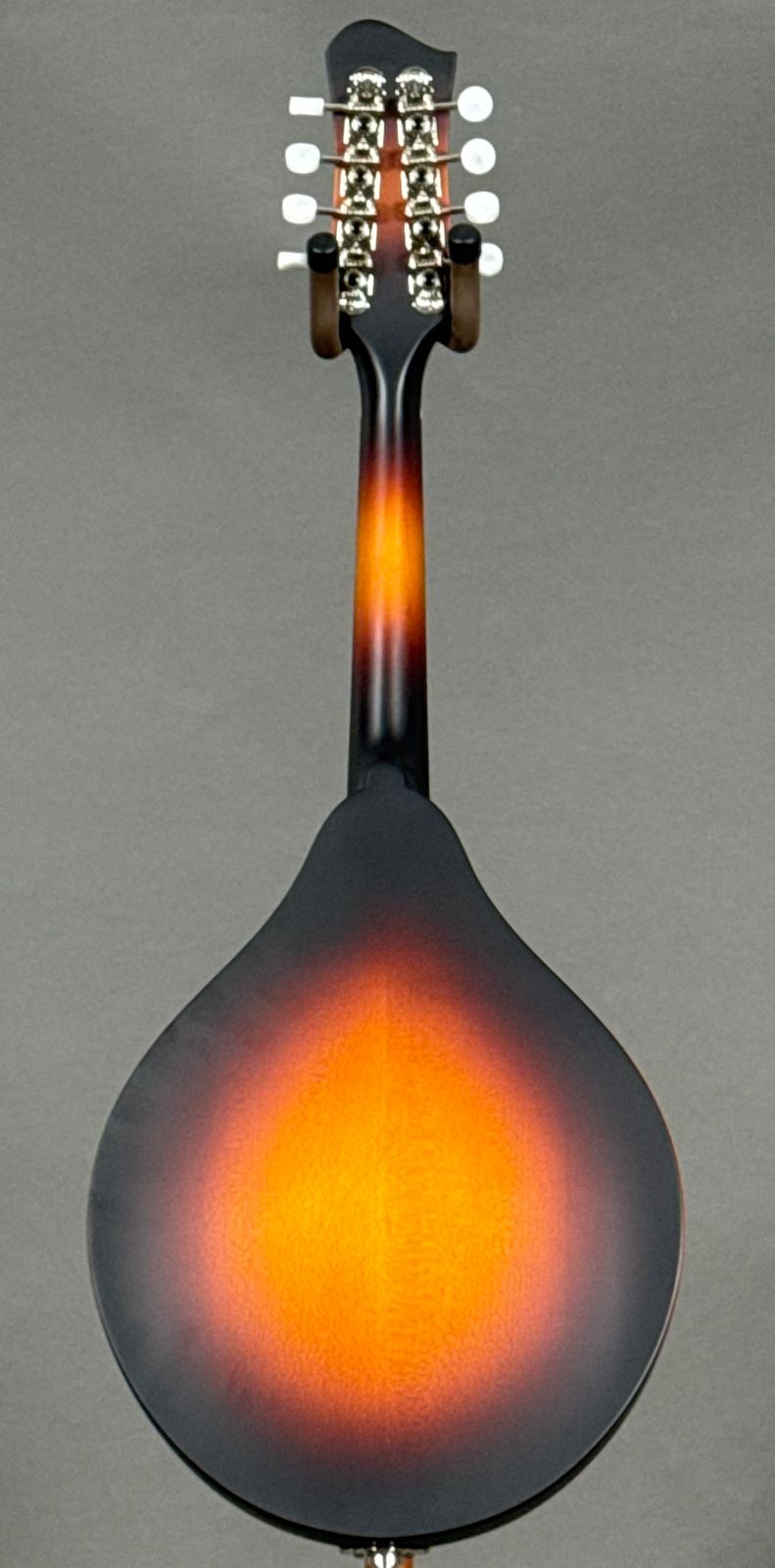 Eastman MD305E 2025 - Sunburst