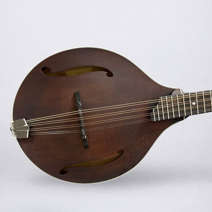 Eastman MDO305 A-Style Octave Mandolin 2025 - Classic