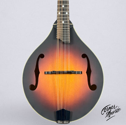 Eastman MD305E 2025 - Sunburst