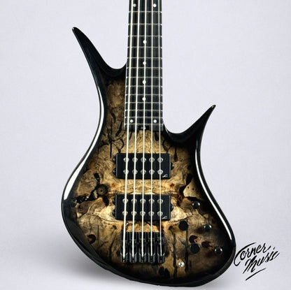 Legator HB5SS 2026 - Jupiter Burst Buckeye Burl Maple