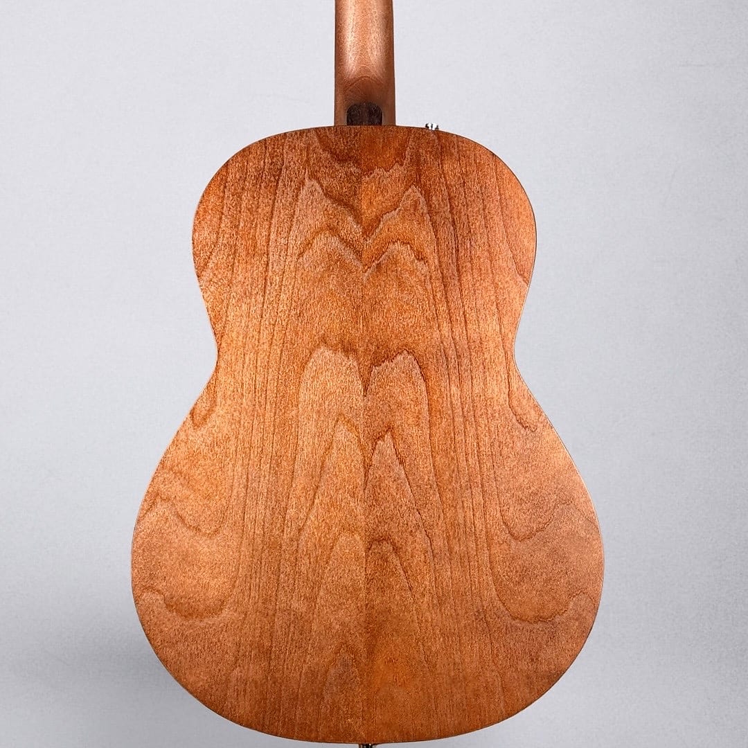 Seagull Entourage Folk 2025 - Rustic Burst