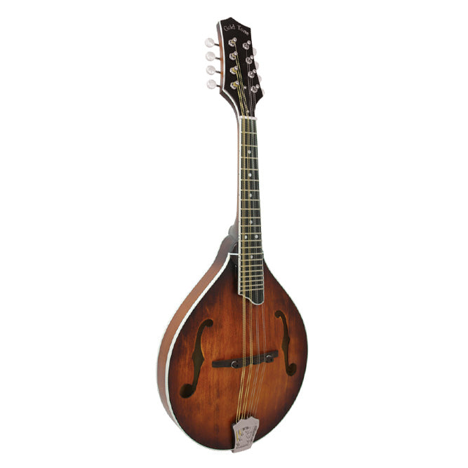 Gold Tone GM-55A A-Style Mandolin - Vintage Sunburst