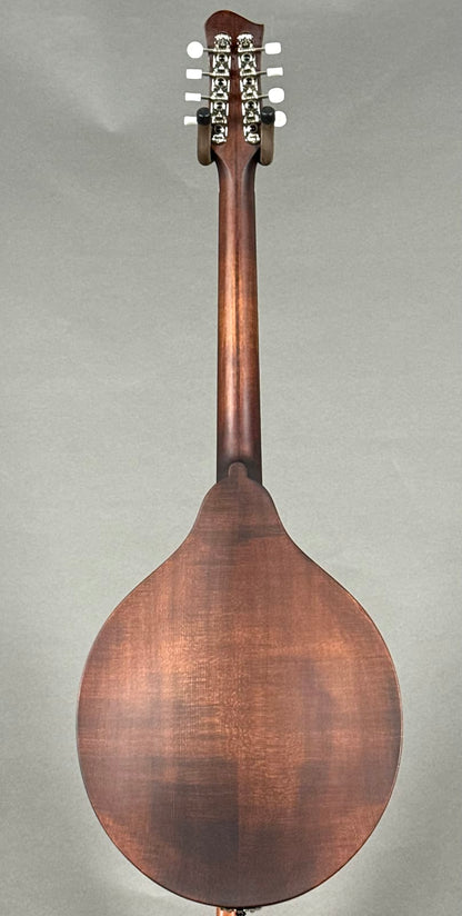 Eastman MDO305 A-Style Octave Mandolin 2025 - Classic